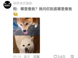 你身上有它的狗狗味