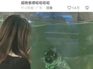你们的海底世界这么好玩