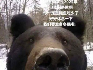 为什么我的任务是保护森林，阻止一个光头？