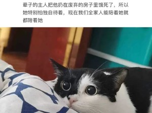 你家猫信号真好