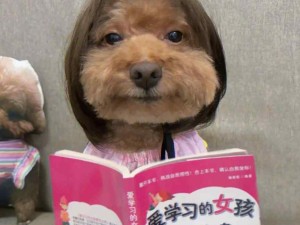 哈哈哈丑萌丑萌的！怎么这么让人着迷！