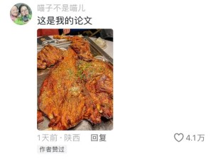 不知道论文结束了这羊何去何从