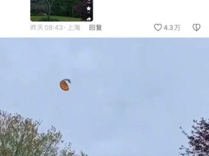 不仅整点薯条 还整点披萨是吧