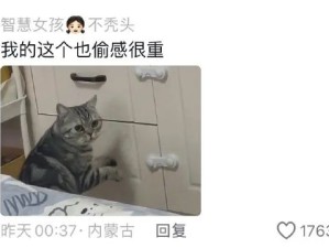 哈哈哈偷感是这么用的吗
