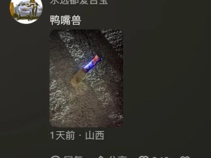 刺猬的头有多容易被卡住