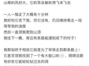 猫猫好！猫猫神会保护你！