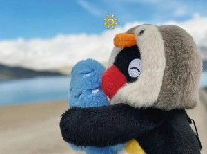 满满的治愈小企鹅！太可爱了小宝