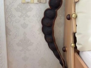 一代人有一代人想捡的破烂