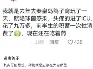 离鸟远点！我去...好危险啊