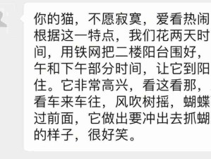 爷爷奶奶和猫！真的好像散文片段