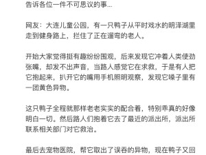 有困难找两脚兽在动物界算是传开了
