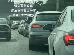 通勤搭子！互相安心的存在