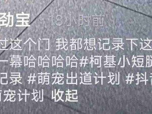 柯基对自己的身高有一点误解