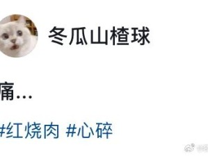 好完美的原料 好糟糕的厨艺
