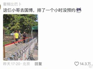 一天的行程都给评论区拼出来了