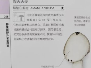 美味蘑菇起名鬼才！感觉像看多了jojo的人
