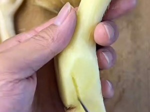 果然姜可以变成任何食物