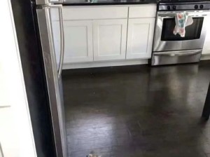 猫很贵吗怎么才买这么一点 ​​​