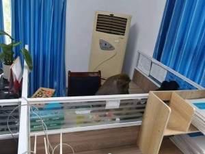 已经进化到要上班了吗？