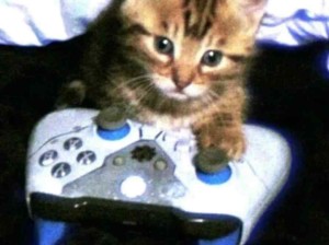 小猫你可以打游戏！好萌好萌