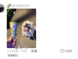 好像动漫里走出来的小狗