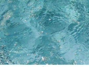 所以翅根那块儿叫什么