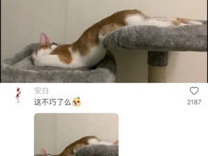 猫要流下来了
