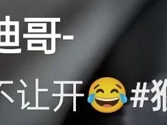 第一次见情绪如此稳定的猴子