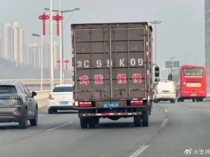 小心翼翼的鸡蛋车 ​​​