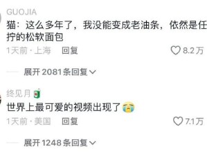 是小面包！感觉闻到小猫味了