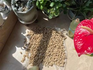 快来看学人精！宝宝们可爱