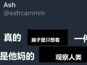 可以 这非常心理学